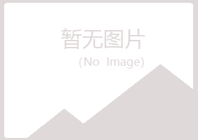 岐山县曹培因特网有限公司